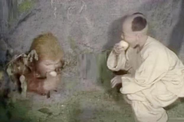Đây là thân phận thật của cậu bé bí ẩn đem đào cho Tôn Ngộ Không khi bị giam ở Ngũ Hành Sơn: Là Phật Tổ Như Lai?