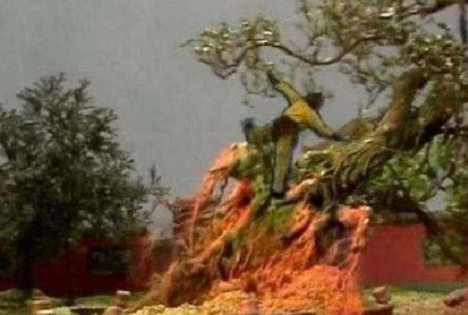 Tây Du Ký 1986: Bí ẩn rùng rợn về cây nhân sâm ở Ngũ Trang Quán khiến Tôn Ngộ Không nổi giận quật đổ