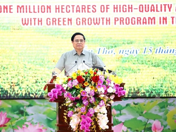 Giải pháp để đề án 1 triệu héc-ta lúa chất lượng cao 'bứt phá'