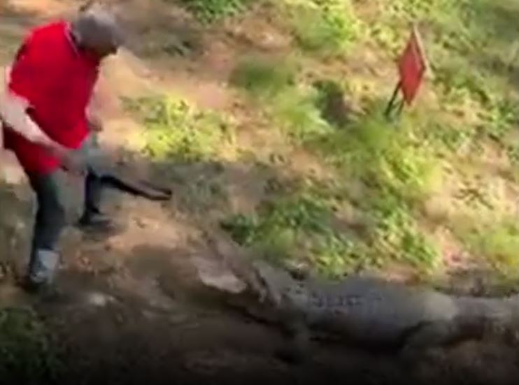CLIP: Bị cá sấu tấn công, người đàn ông có phản ứng khiến người xem bất ngờ nhưng nhìn sang cái kết còn 'sốc' hơn