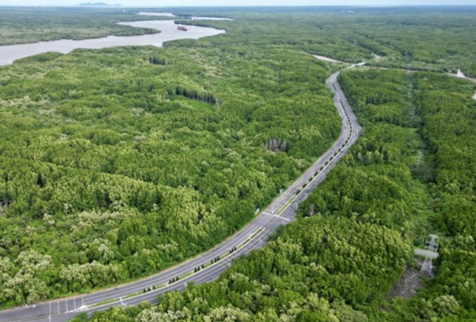 Con đường dài nhất TP Hồ Chí Minh đẹp như tranh vẽ: Dài hơn 36 km, người ở Sài Gòn 3 đời chưa chắc đã biết