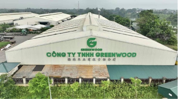 Phú Thọ: Xử phạt công ty Greenwood 140 triệu đồng vì vi phạm môi trường