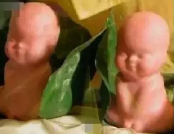 Tây Du Ký 1986: Bí ẩn rùng rợn về cây nhân sâm ở Ngũ Trang Quán khiến Tôn Ngộ Không nổi giận quật đổ