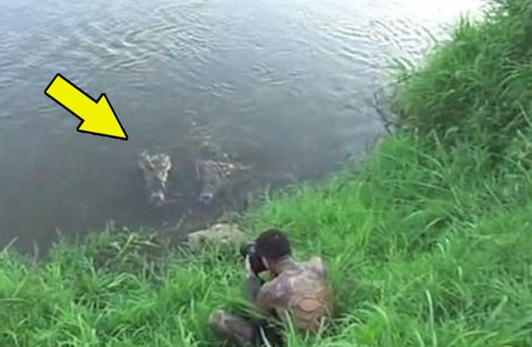 CLIP: Thoát chết trong gang tấc vì liều mình chụp ảnh cận cảnh cá sấu