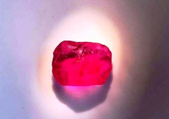 2 vợ chồng người Nghệ An ‘đổi đời’ nhờ 1 cú trượt chân, nhặt được ‘báu vật’ trời ban khi đi chặt củi