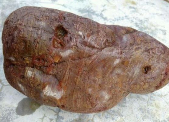 Chàng trai trẻ nhặt được ‘khúc gỗ’ nhưng lại không phải gỗ, quý hiếm bậc nhất có thể trị giá hàng nghìn tỷ