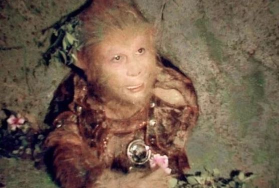 Bất ngờ trước lý do Tôn Ngộ Không bị nhốt dưới Ngũ Hành Sơn 500 năm nhưng lũ khỉ ở Hoa Quả Sơn không con nào đến giải cứu