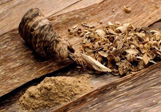 2 người đàn ông ở Phú Yên nhặt được khúc gỗ quý hàng đầu Việt Nam: Nặng 10kg, trị giá hàng tỷ đồng nhưng bán ‘hớ’