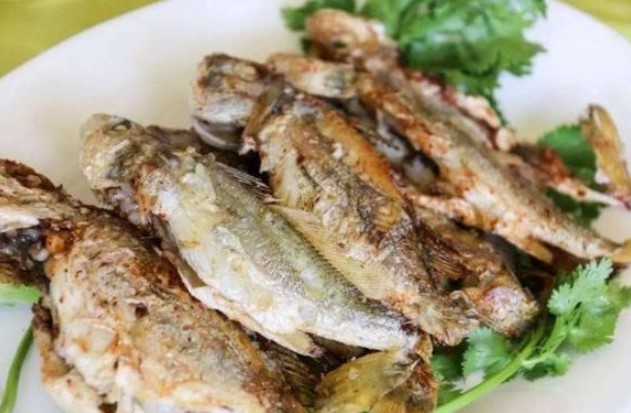 Đừng bỏ qua khi gặp loại cá này, nó chứa hàm lượng canxi rất cao, thường được cho trẻ em uống để giúp chúng cao lớn