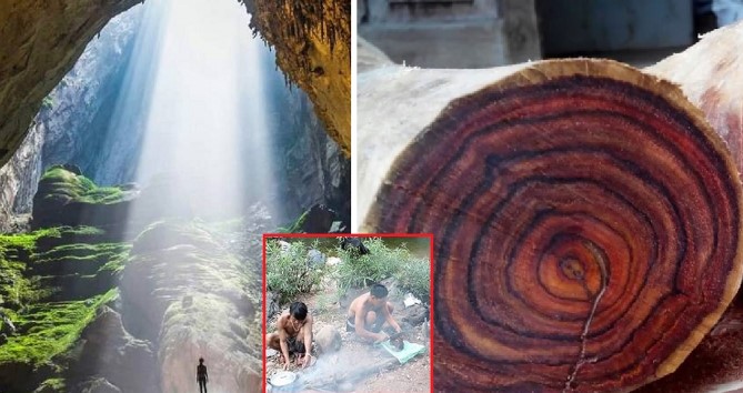 Tộc người suýt tuyệt chủng của Việt Nam sở hữu rừng gỗ sưa trăm tỷ, 20 năm không bán một cây nào