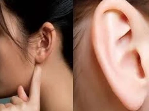 Nhìn tướng tai biết ngay 'đôi tai của người giàu' hay 'đôi tai của người nghèo': Sự khác biệt vô cùng lớn!