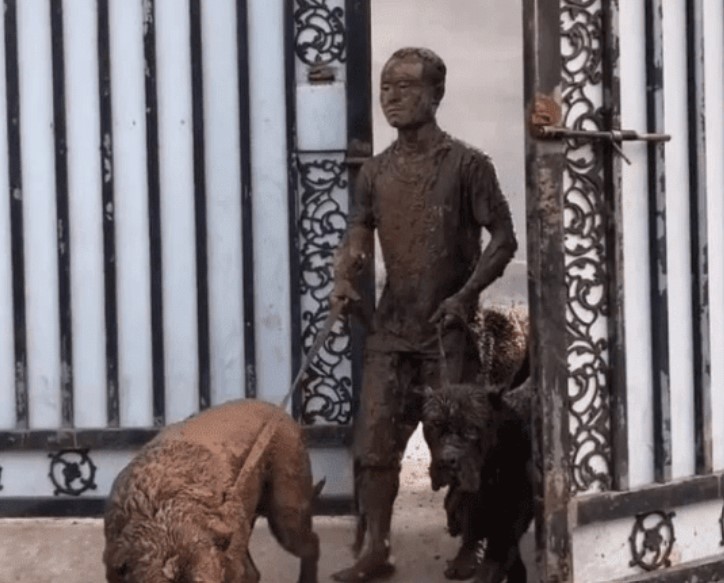 Người đàn ông dắt 3 chú chó đi dạo, khi quay về vợ không nhận ra mà phải thốt lên: 'Tác phẩm nghệ thuật này ở đâu ra?'