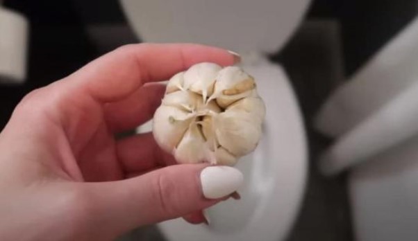 Ném ngay tép tỏi vào bồn cầu, rắc rối mà nhà nào cũng gặp sẽ được giải quyết chỉ sau 1 đêm