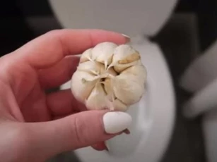 Ném ngay tép tỏi vào bồn cầu, rắc rối mà nhà nào cũng gặp sẽ được giải quyết chỉ sau 1 đêm