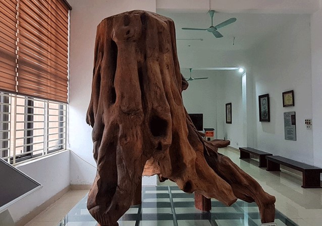 Hai cha con đi đánh cá từng vớt được khúc gỗ thuộc loại đắt nhất thế giới: Nặng 2,1 tấn, giá 17 tỷ