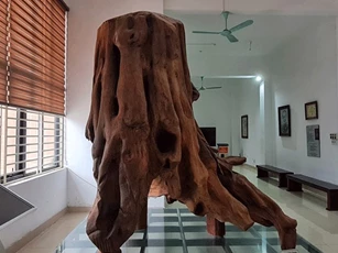 Hai cha con đi đánh cá từng vớt được khúc gỗ thuộc loại đắt nhất thế giới: Nặng 2,1 tấn, giá 17 tỷ