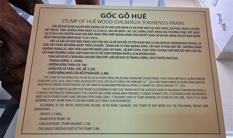 Hai-cha-con-di-danh-ca-tung-vot-duoc-khuc-go-thuoc-loai-dat-nhat-the-gioi-nang-2-1-tan-gia-17-ty-2