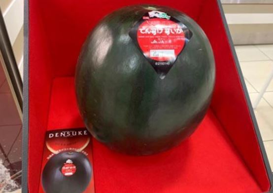 Top &#x27;si&#xEA;u hoa qu&#x1EA3;&#x27; &#x111;&#x1EAF;t nh&#x1EA5;t th&#x1EBF; gi&#x1EDB;i: C&#xF3; lo&#x1EA1;i h&#x1A1;n 1 t&#x1EF7;, c&#xF3; lo&#x1EA1;i hi&#x1EBF;m &#x111;&#x1EBF;n m&#x1EE9;c m&#x1ED7;i n&#x103;m ch&#x1EC9; c&#xF3; 6 qu&#x1EA3;