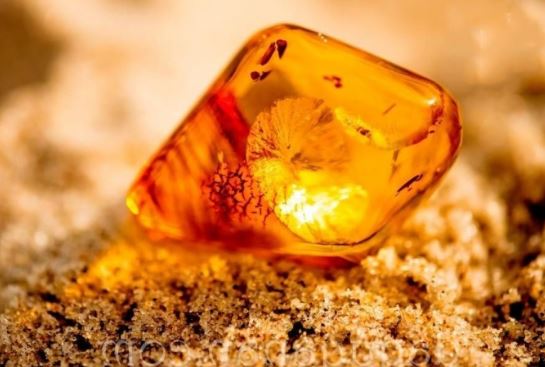 1 gia đình đào giếng trúng được khối đá quý hơn vàng, cả làng đổ xô đi làm giàu, kéo cả máy cẩu đào bới mỏ kho báu