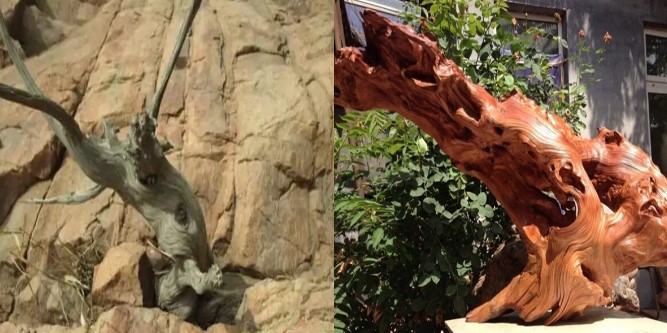 Lão nông dân nhặt được khúc gỗ lạ, tưởng vô dụng nhưng lại là ‘báu vật’ cấp quốc gia, được bảo vệ nghiêm ngặt