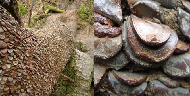 Khúc gỗ bí ẩn đã có từ hàng trăm năm, được phủ kín bằng những đồng xu và sự thật phía sau gây bất ngờ