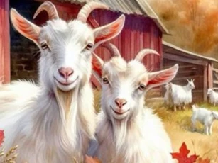 Ngày 23 tháng 10, ngày vận may đến, sự nghiệp ba con giáp sẽ tăng phi mã, của cải tha hồ hưởng