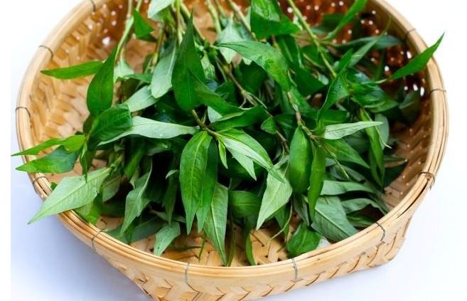 Rau răm với sinh lý nam có như lời đồn