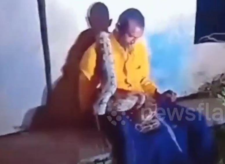 CLIP: Say rượu ngủ gật bên đường, người đàn ông bị trăn 'khủng' quấn quanh người và cái kết bất ngờ