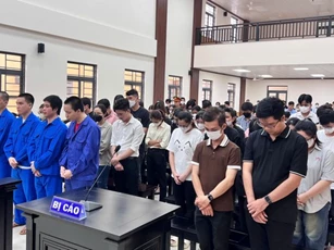 Tuyên án 61 bị cáo làm giả hơn 1.000 văn bằng, chứng chỉ ở An Giang