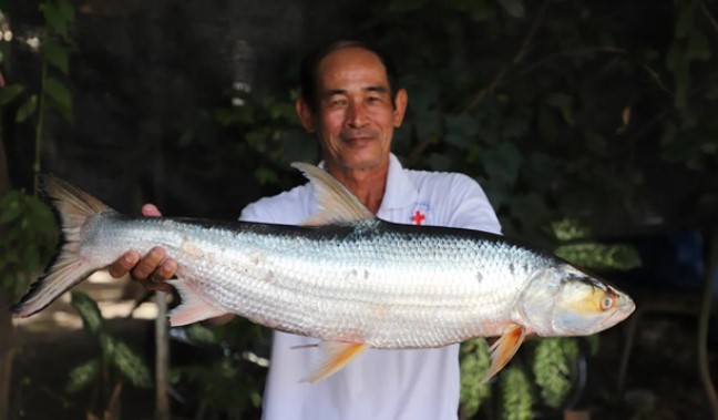 Loài cá quý hiếm như vàng ‘hồi sinh’ diệu kỳ sau 20 năm tưởng như đã tuyệt chủng