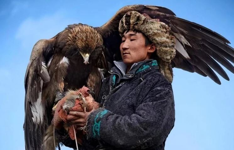 Đại bàng vàng đã được con người thuần hóa để thành 'trợ thủ' khi đi săn như thế nào?