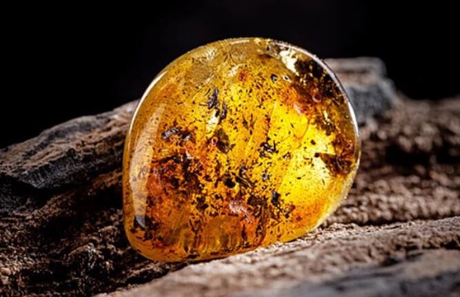 Nhặt bừa cục đá về chặn cửa suốt mấy thập kỷ, hóa ra là kho báu trị giá 27 tỷ đồng