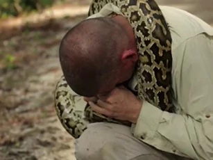 CLIP: Chuyên gia săn rắn suýt mất mạng vì bị trăn khổng lồ tấn công