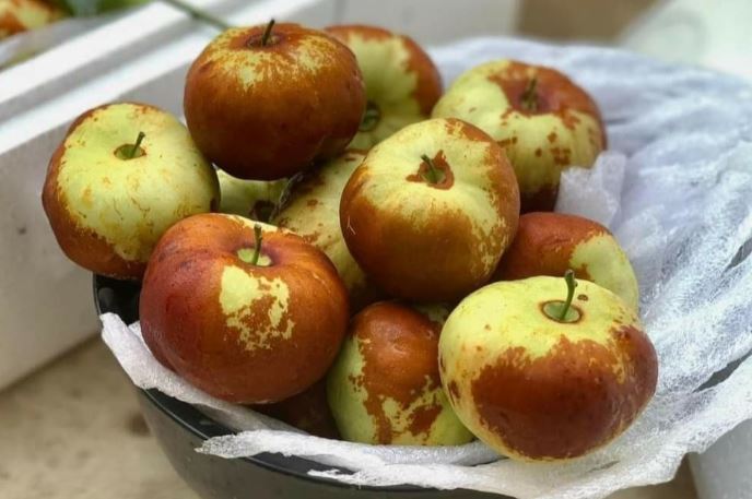 1 loại quả là "vua chống lão hóa tự nhiên", được bán nhiều khắp các chợ: Vừa đẹp da, lại bổ xương khớp nhưng cần nhớ 3 lưu ý khi ăn