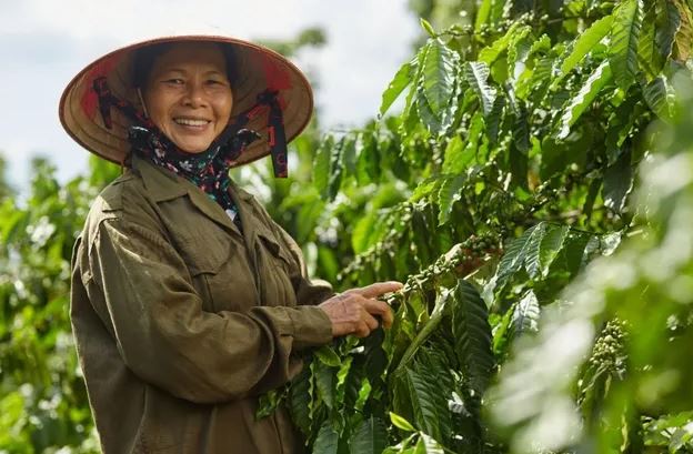 Việt Nam thuộc top đầu ASEAN về "đầu tư tác động"