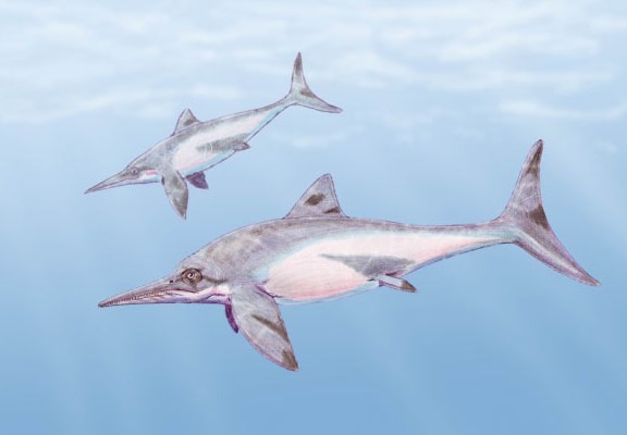 Quái vật biển kỷ Jura lộ danh tính sau 25 năm gây bối rối