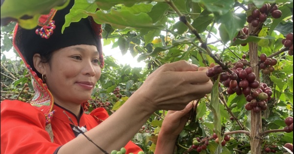 Việt Nam thuộc top dẫn đầu ASEAN về chỉ số đầu tư tác động phát triển bền vững 