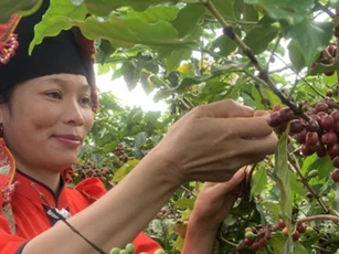 Việt Nam thuộc top dẫn đầu ASEAN về chỉ số đầu tư tác động phát triển bền vững