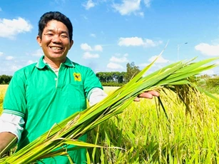Bàn giải pháp giúp Hậu Giang đẩy mạnh liên kết hướng tới 1 triệu ha lúa chất lượng cao