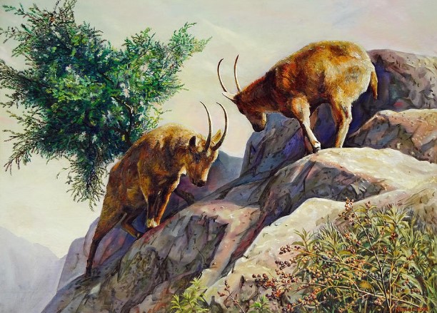 Cuối tuần này (26-27/10): 4 con giáp gặp vận đỏ, tình duyên may mắn, tài lộc tràn đầy