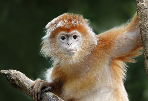 Trong 2 th&#xE1;ng t&#x1EDB;i, 3 con gi&#xE1;p s&#x1EBD; ph&#xE1;t l&#x1ED9;c, &#x111;&#x1EBF;m ti&#x1EC1;n kh&#xF4;ng ng&#x1A1;i tay, n&#x1EAF;m b&#x1EAF;t may m&#x1EAF;n v&#xE0; tr&#x1EA3;i nghi&#x1EC7;m th&#xE0;nh c&#xF4;ng r&#x1EF1;c r&#x1EE1;