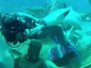 CLIP: "Sởn gai ốc" trước cảnh con người bị tấn công bởi các “thủy quái”