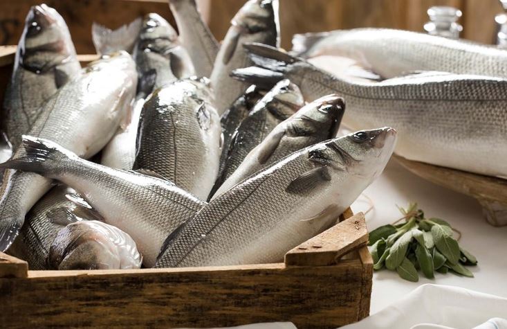 Loại cá nước ngọt ít xương, dinh dưỡng cao, tốt cho tim mạch, lại ngừa ung thư, biển Việt Nam rất sẵn