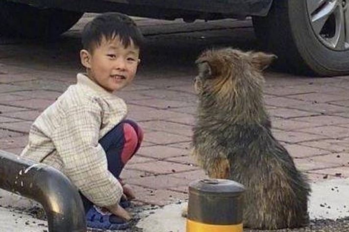 Gi&#x1EEF;a tr&#x1B0;a kh&#xF4;ng th&#x1EA5;y con &#x111;&#xE2;u, m&#x1EB9; h&#x1ED1;t ho&#x1EA3;ng ch&#x1EA1;y ra &#x111;&#x1B0;&#x1EDD;ng t&#xEC;m r&#x1ED3;i gi&#x1EAD;t m&#xEC;nh khi th&#x1EA5;y c&#x1EA3;nh t&#x1B0;&#x1EE3;ng tr&#x1B0;&#x1EDB;c m&#x1EAF;t