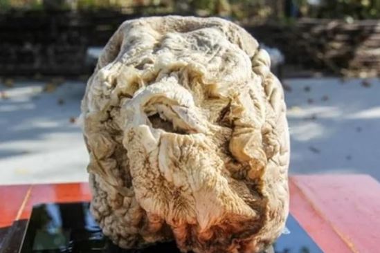 Người đàn ông vỡ òa khi đào được 'tảng đá' giá trị gần 10.000 tỷ, Tần Thủy Hoàng từng săn lùng ráo riết