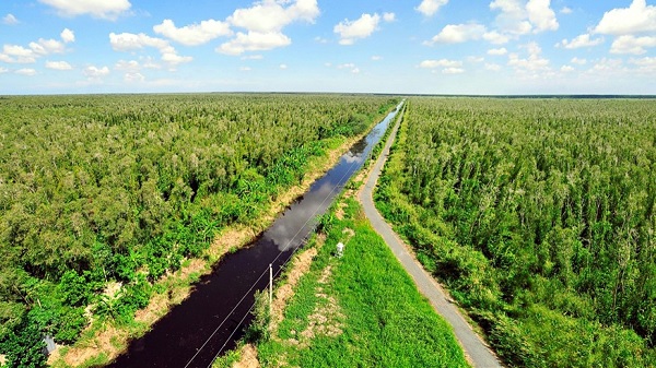 Hầu hết doanh nghiệp Việt thiếu hiểu biết về thị trường tín chỉ carbon