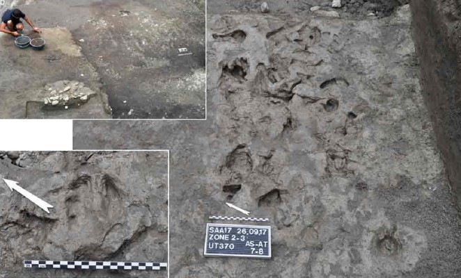 Vết cày niên đại 7.000 năm thay đổi hiểu biết của con người về nền nông nghiệp châu Âu thời tiền sử