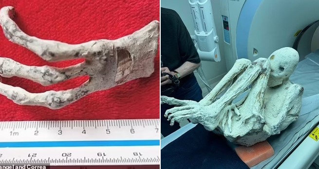 Mổ ‘xác ướp người ngoài hành tinh’, các nhà khoa học phát hiện ra 1 thứ kì lạ