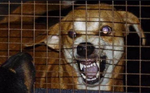 T&#x1EA1;i sao ng&#x1B0;&#x1EDD;i m&#x1EAF;c b&#x1EC7;nh d&#x1EA1;i l&#x1EA1;i ch&#x1EBF;t khi nghe ti&#x1EBF;ng n&#x1B0;&#x1EDB;c? &#x110;&#x1ECD;c &#x111;&#x1EBF;n &#x111;&#xE2;y b&#x1EA1;n s&#x1EBD; hi&#x1EC3;u s&#x1EF1; kh&#x1EE7;ng khi&#x1EBF;p c&#x1EE7;a v&#x1EA5;n &#x111;&#x1EC1; n&#xE0;y