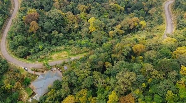 Phát triển thị trường tín chỉ carbon còn thiếu đồng bộ, chưa đáp ứng nhu cầu doanh nghiệp